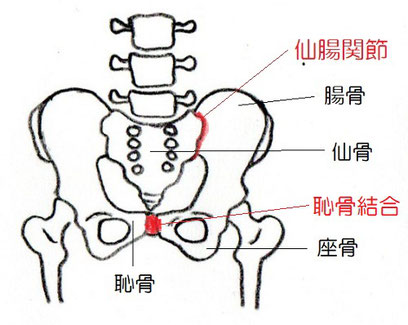 茅ヶ崎　整体　骨盤矯正　産後骨盤　骨盤のゆがみ