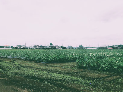 ハイクラス-注文住宅-高級注文住宅-最高級邸宅-千葉県-千葉市-一級建築士-一級建築士事務所-設計事務所-建築家-新潟-高断熱-heat20g1-heat20g2-耐震等級-許容応力度設計-燃費計算-断熱等級6