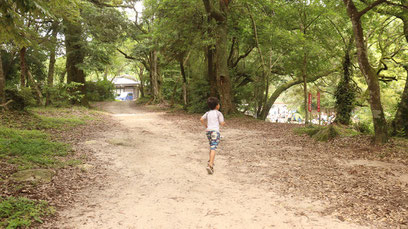 子供、幼児、夏、川、小学生、自然、森林、夏休み、写真フリー素材　Children, toddlers, summer, rivers, elementary school students, nature, forests, summer holidays,