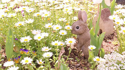 うさぎ、置物、花、可愛い、花壇、写真フリー素材　Rabbit, figurine, flower, cute, flowerbed,