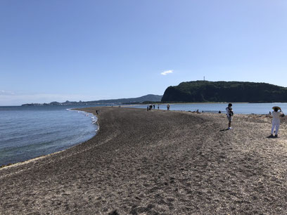 知林ヶ島のちりりんロード