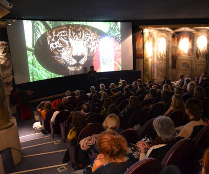 Conference and Screening of film in Mozart cinema Salzburg Austria 7.3.2019