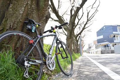 小牧　はり　鍼灸　美容鍼　整体　腰痛　坐骨神経痛　肩こり　頭痛　めまい　自律神経　コロナ