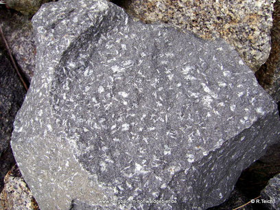 Basit mit Feldspatleisten (Albit