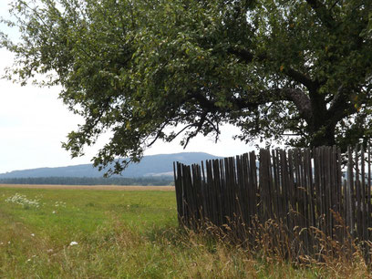 12tel Blick im Juli