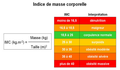 Comment calculer son IMC et lecture direct du resultat