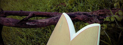 Elleciel Custom Fish Surfboards Phuket Thailand Wood Epoxy EPS 