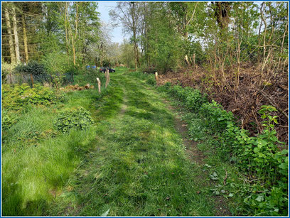 13-04-2024-Grundstückspflege- Zufahrt durch schonende Mähd frei geschnitten!