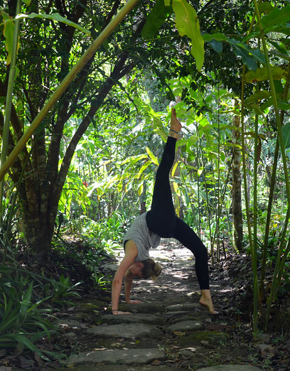Boutique hostel in the area of Minca and Santa Marta