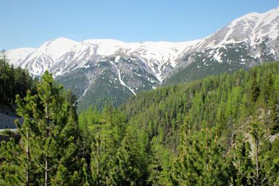 Schweizer Nationalpark