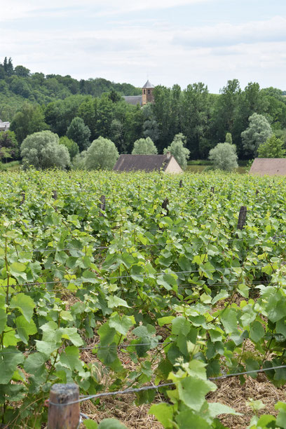 eglise-morogues-vignes-aoc-menetou-salon-cher-centre-loire