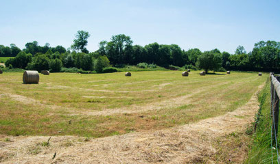 Parcelle où doit avoir lieu la plantation. Photo/Baptiste Dondaine