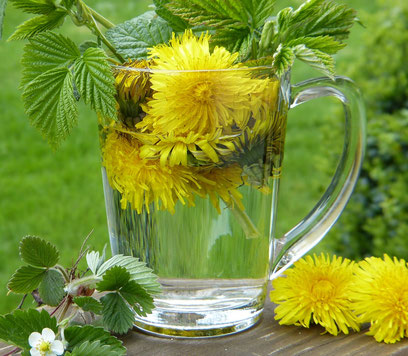 Blätter und Blüten für selbstgemachte Wildkräuterlimo