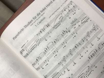 Pianofortestudien für die linke Hand allein op.113 左手のためのピアノ練習曲 作品113