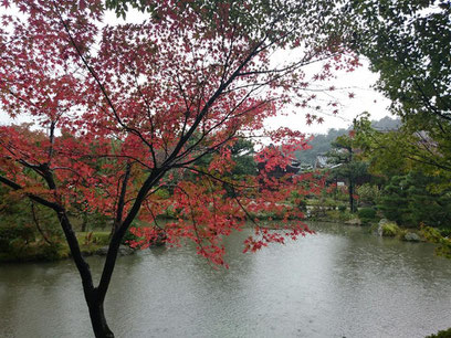 法金剛院