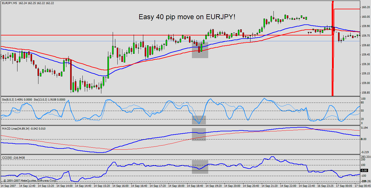 Forex ee review