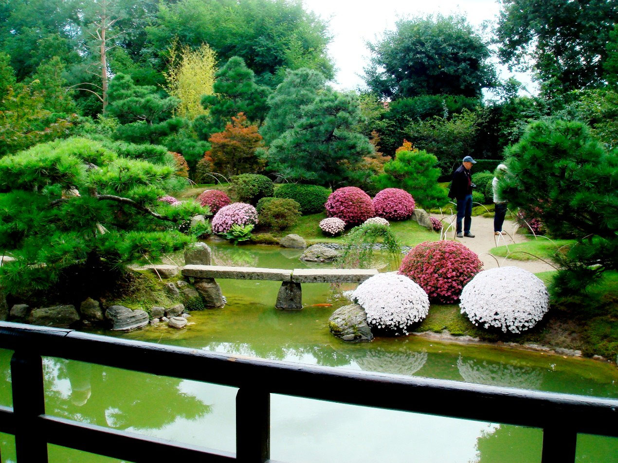 21 09 Auftritt Beim Chrysanthemenfest Im Bonsai Garten Ferch