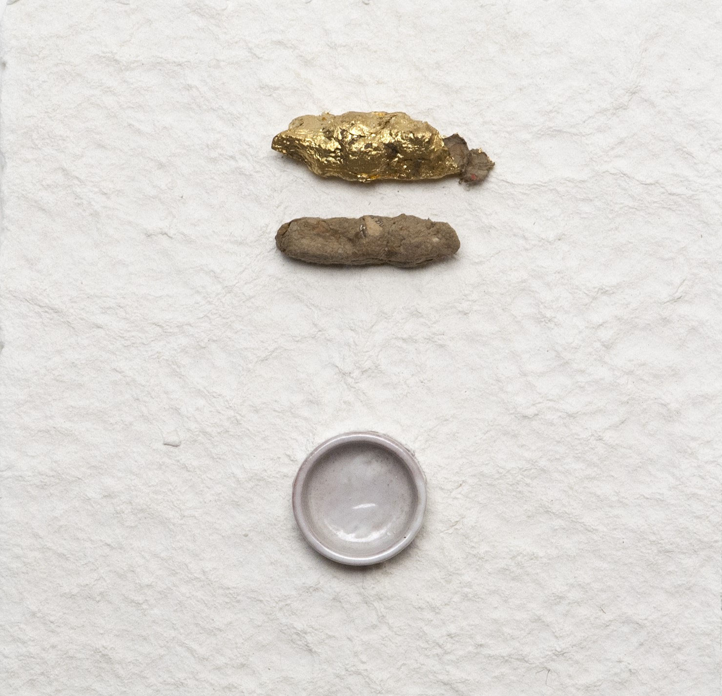 Fibra di cotone bartolomeoconciauros jimdo page!