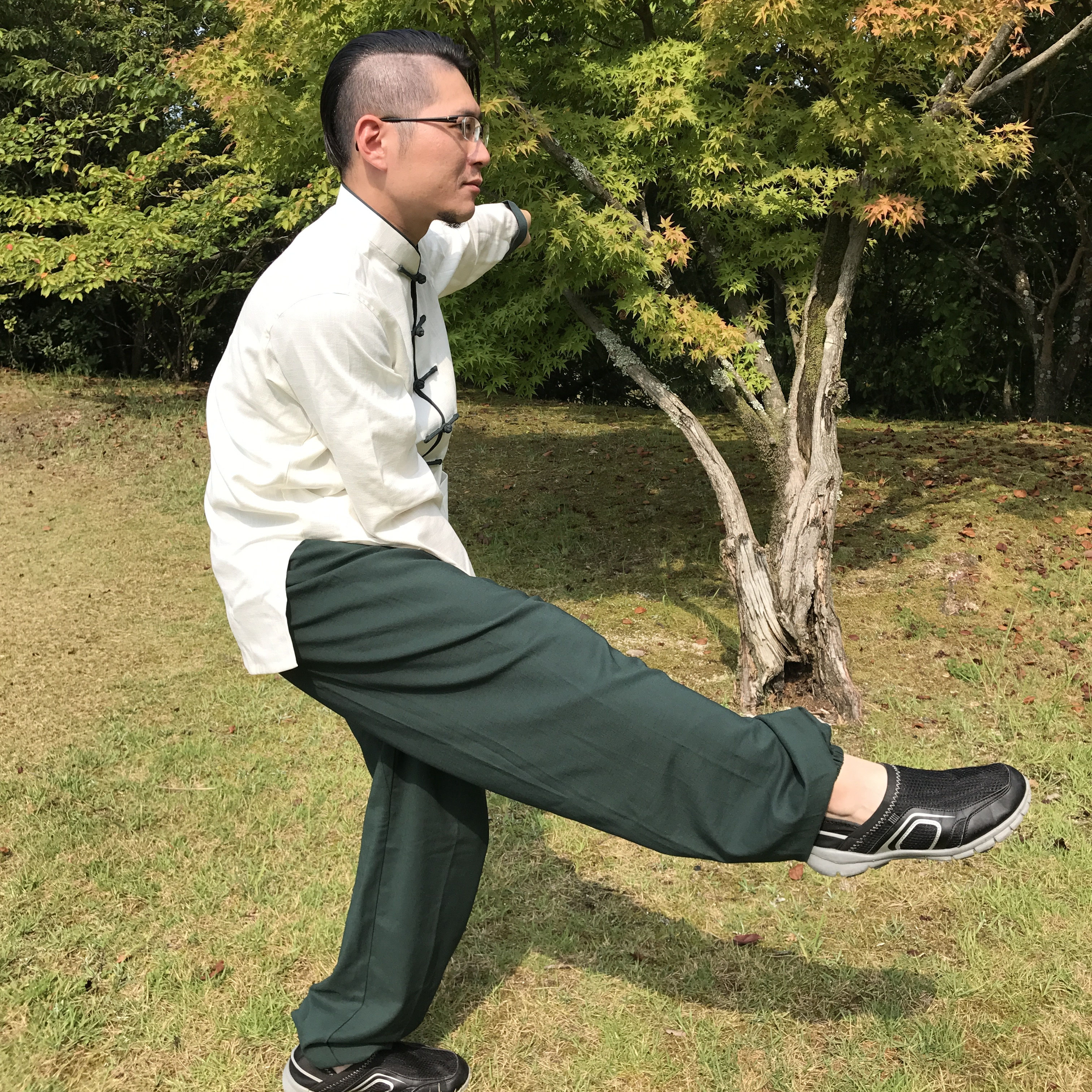 白猿通背拳 中国武術 白猿通背拳 中国武術
