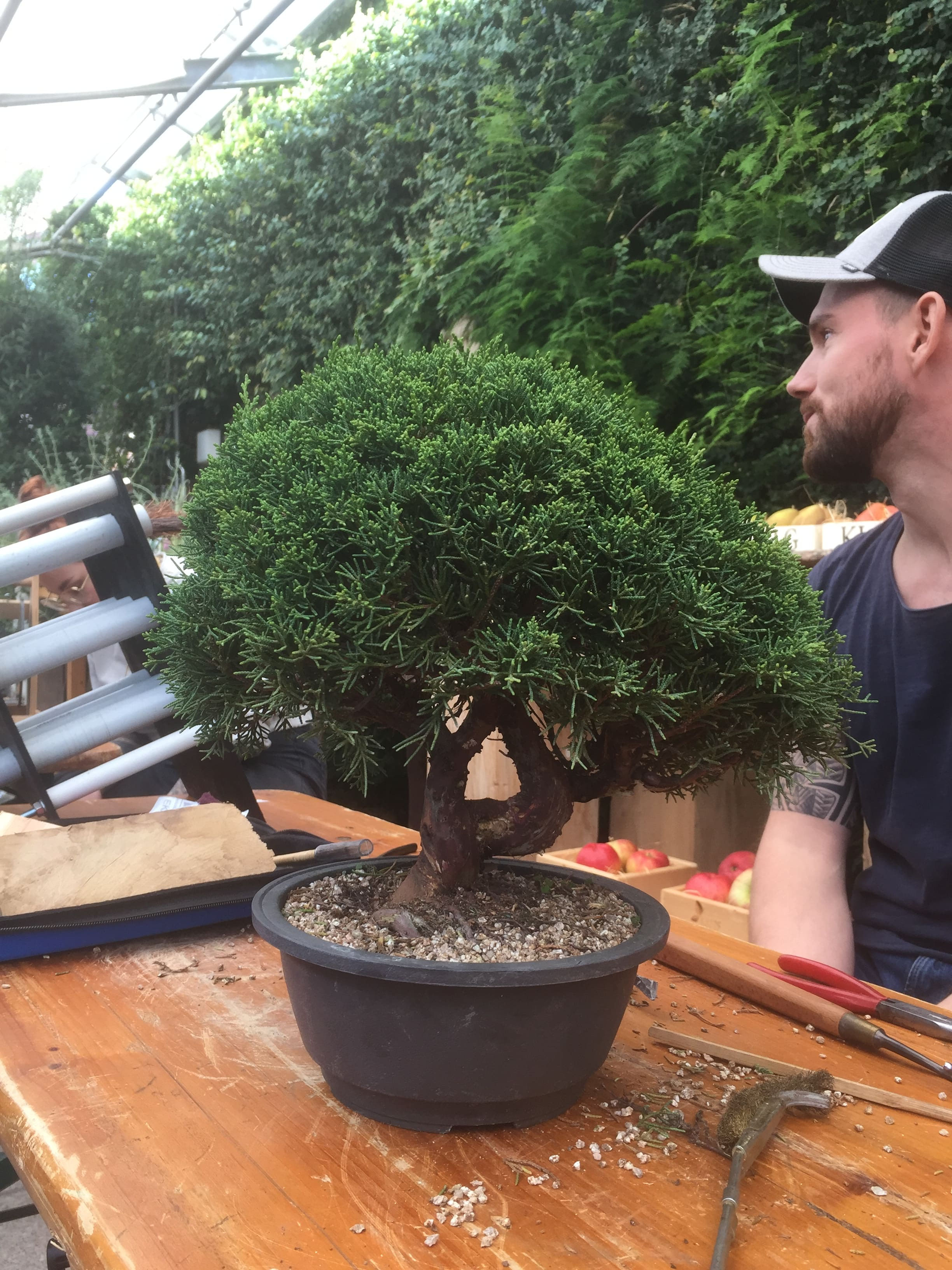 bonsai bar meißen DIY Bonsai Bar Kit