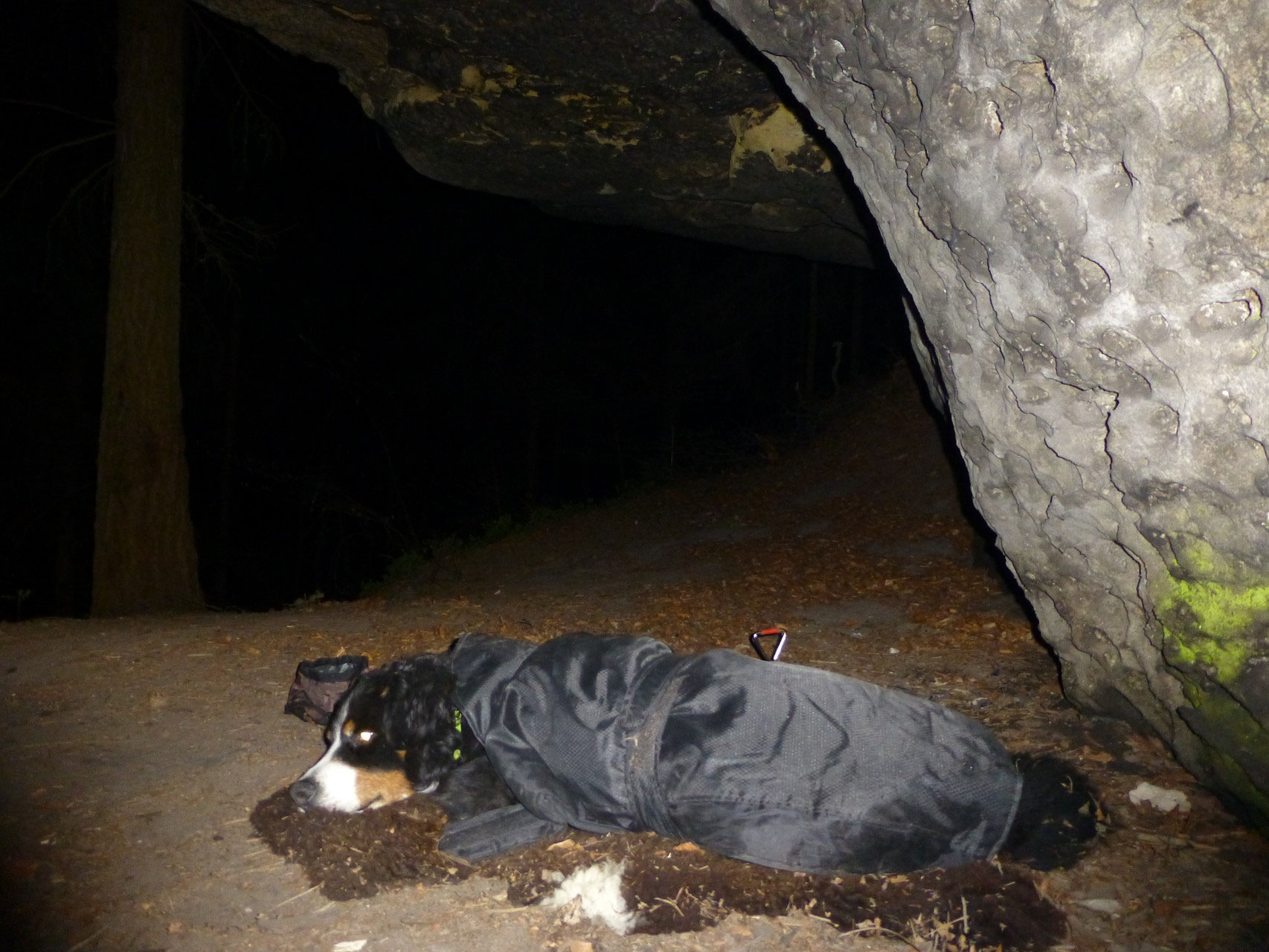 Schrammsteine, Affensteine, Großer Winterberg bergwandernmithund.de