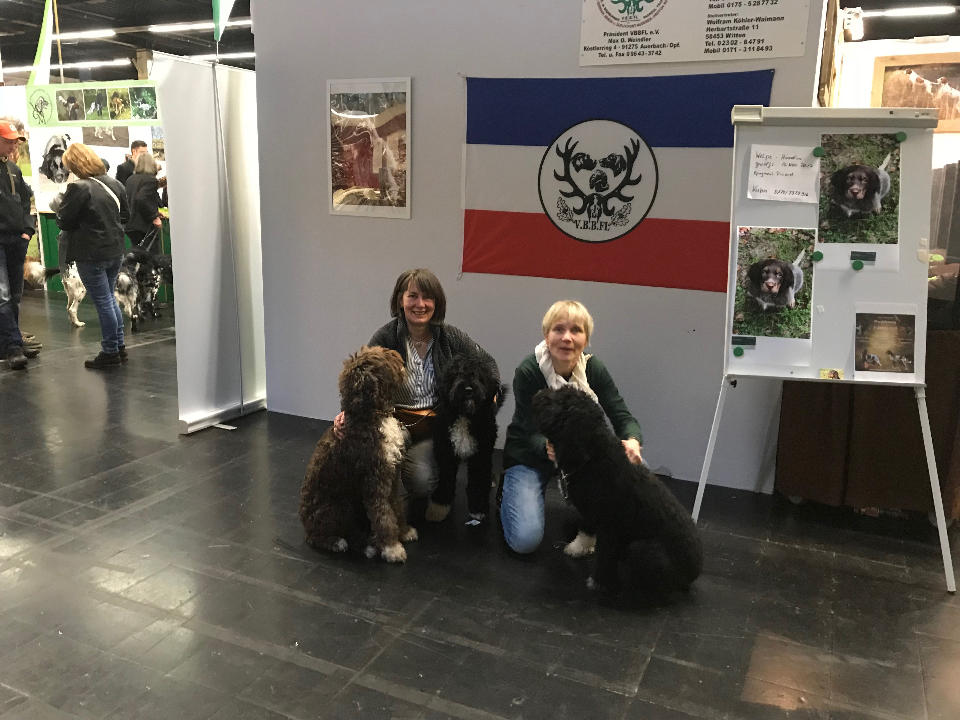 "Jagd und Hund" Dortmund 2018 Barbet französischer Wasserhund