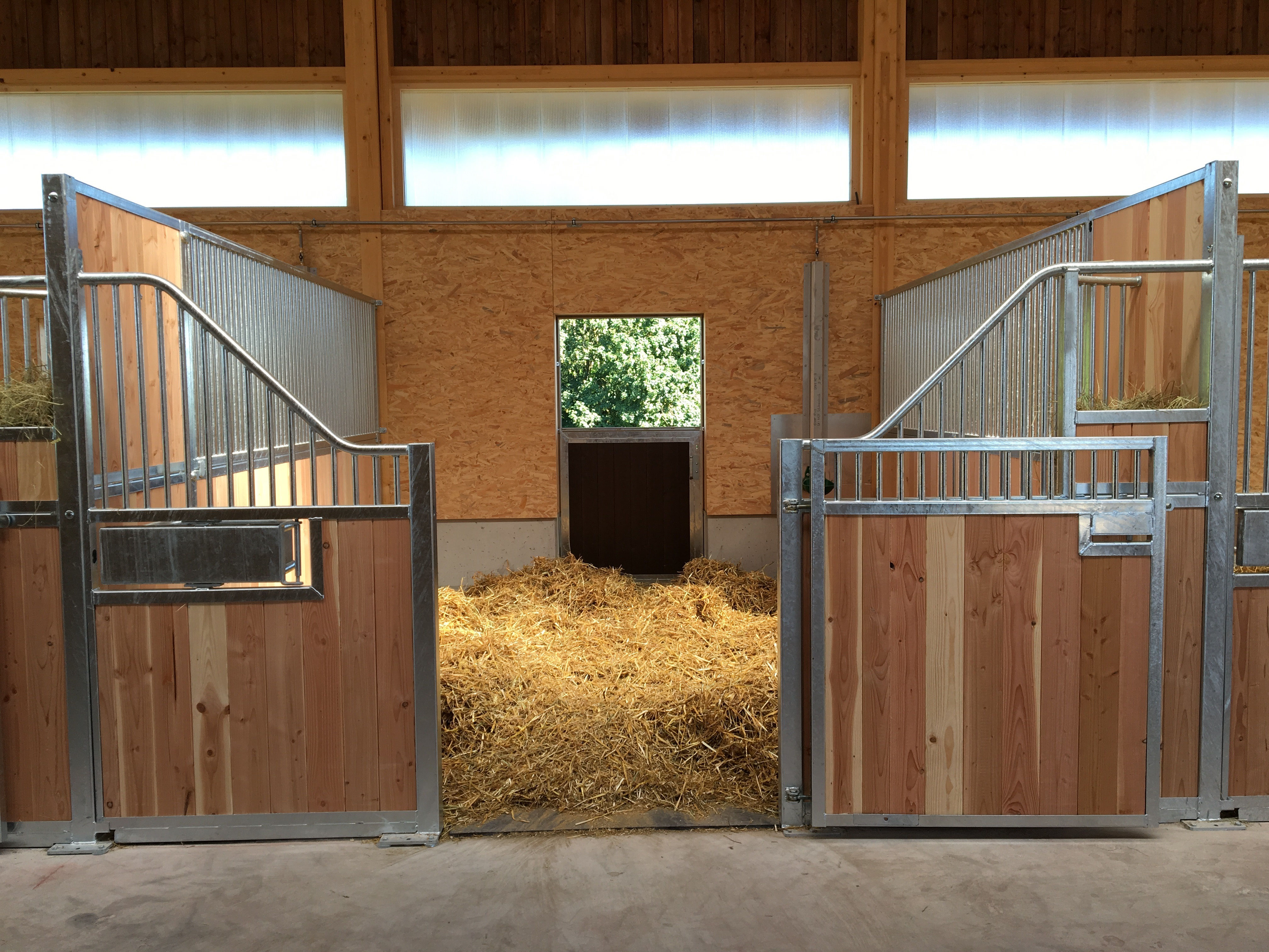 Pferdeboxen - Laengehof, Landwirtschaft, Schönenbuch