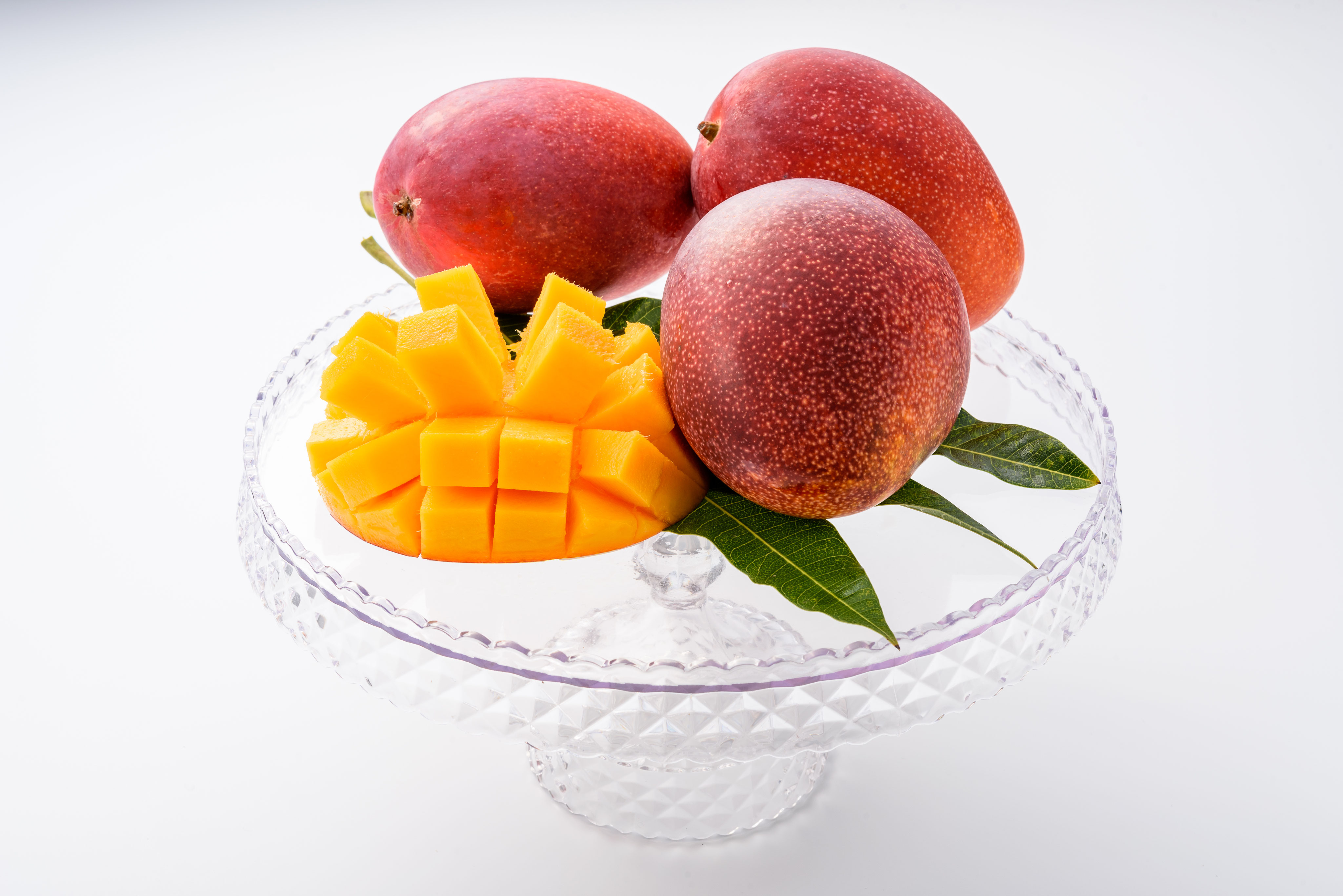 公式】沖縄マンゴー農園 サンライズファーム - 公式オンライン