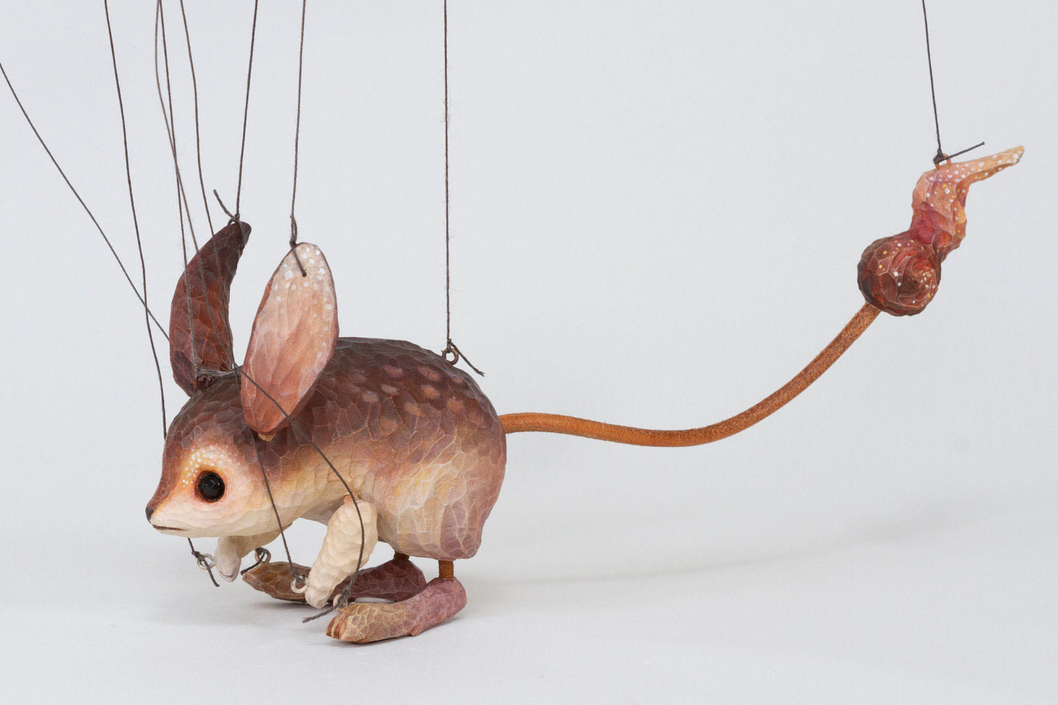 火鼠の毛 image.jpg