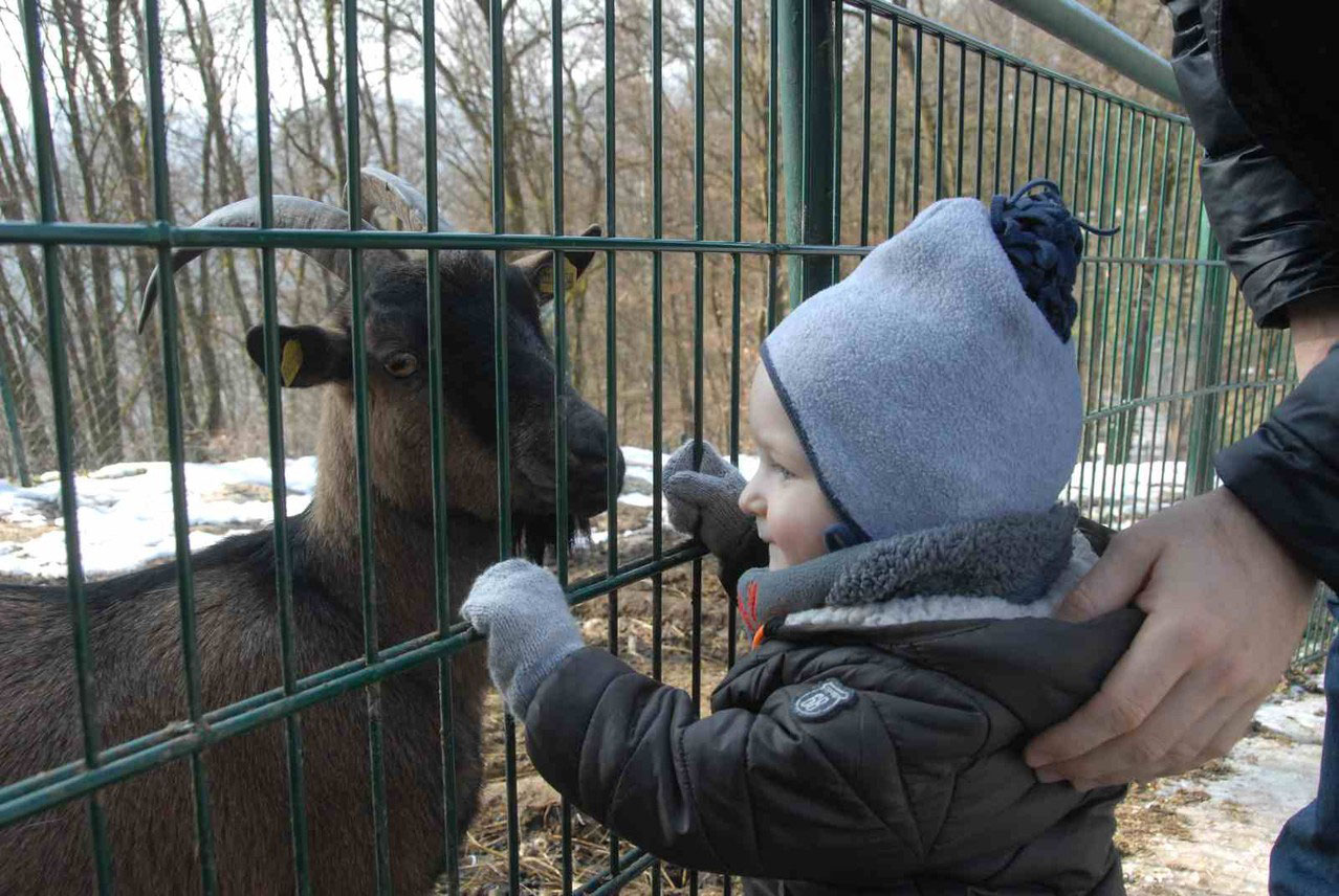 Matthias` erster Zoo Besuch - gusenbauerjuniors Webseite!