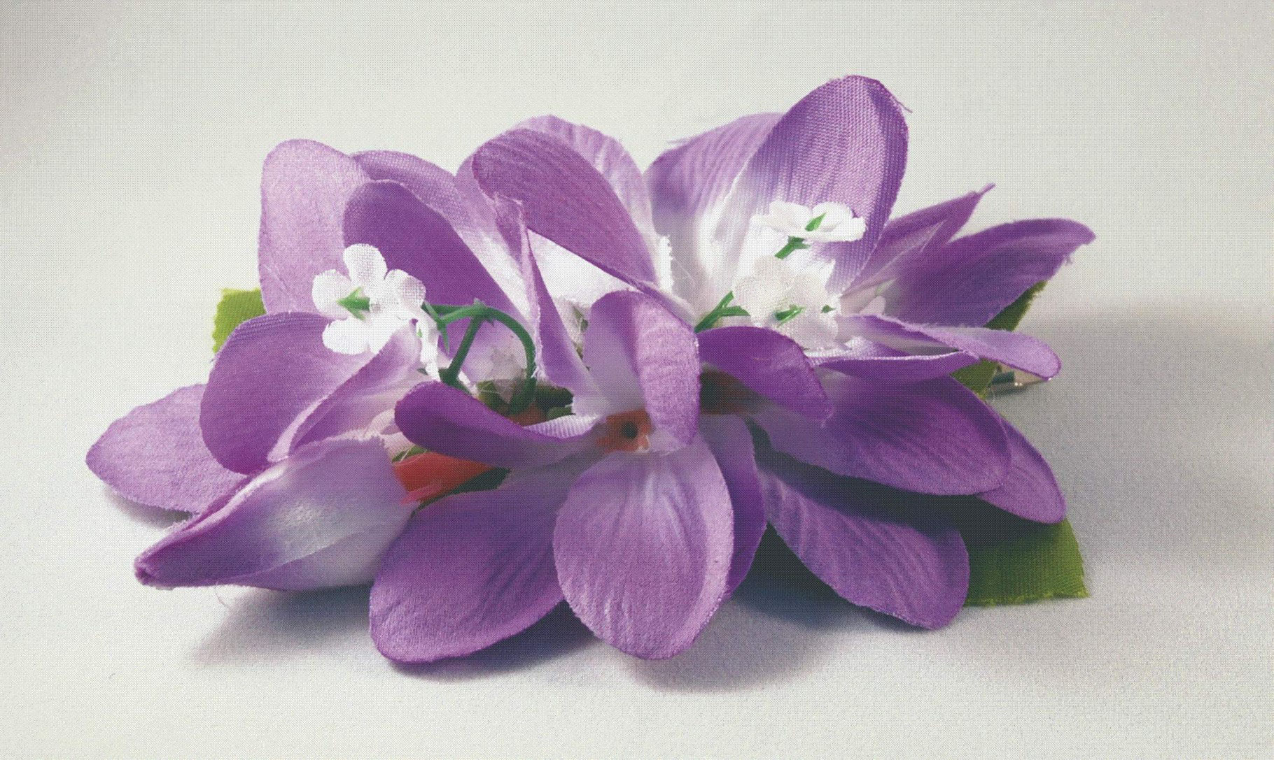 Hawaii Blumen-Haarclips - Hawaii-Store.de