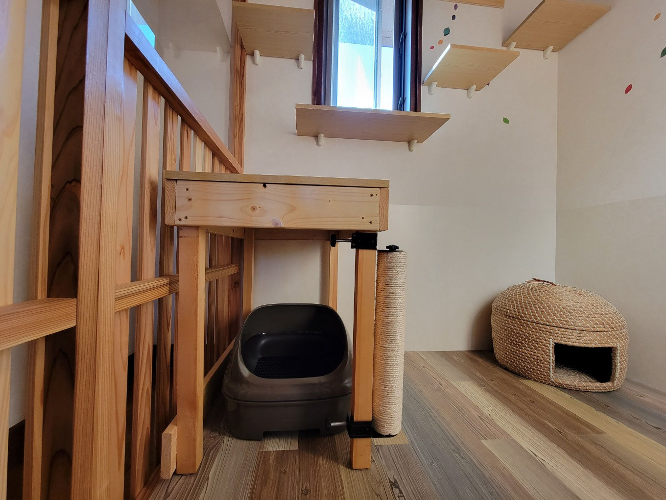 猫専用ペットホテル＆ペットシッター カギしっぽ