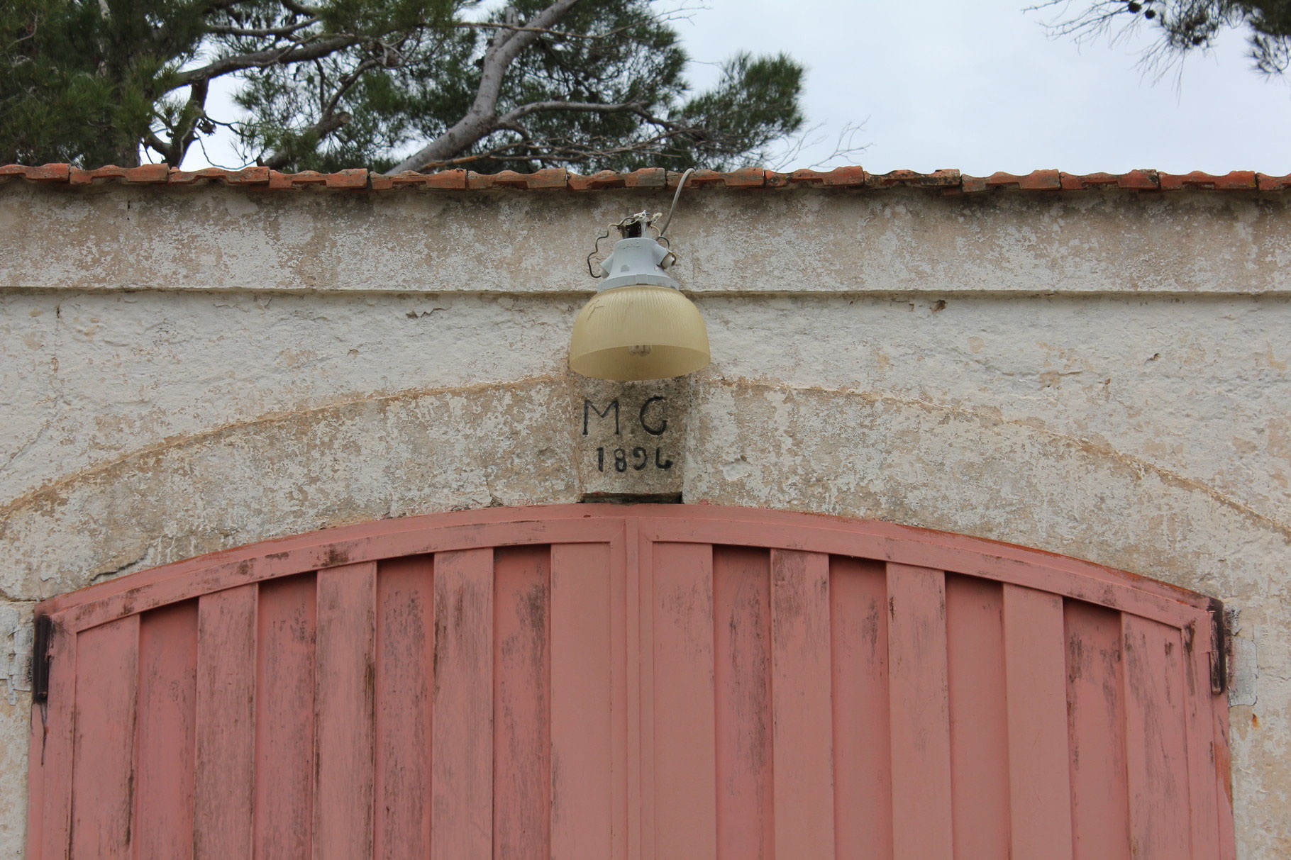L' Azienda Agricola Antonio Memeo — foto 2