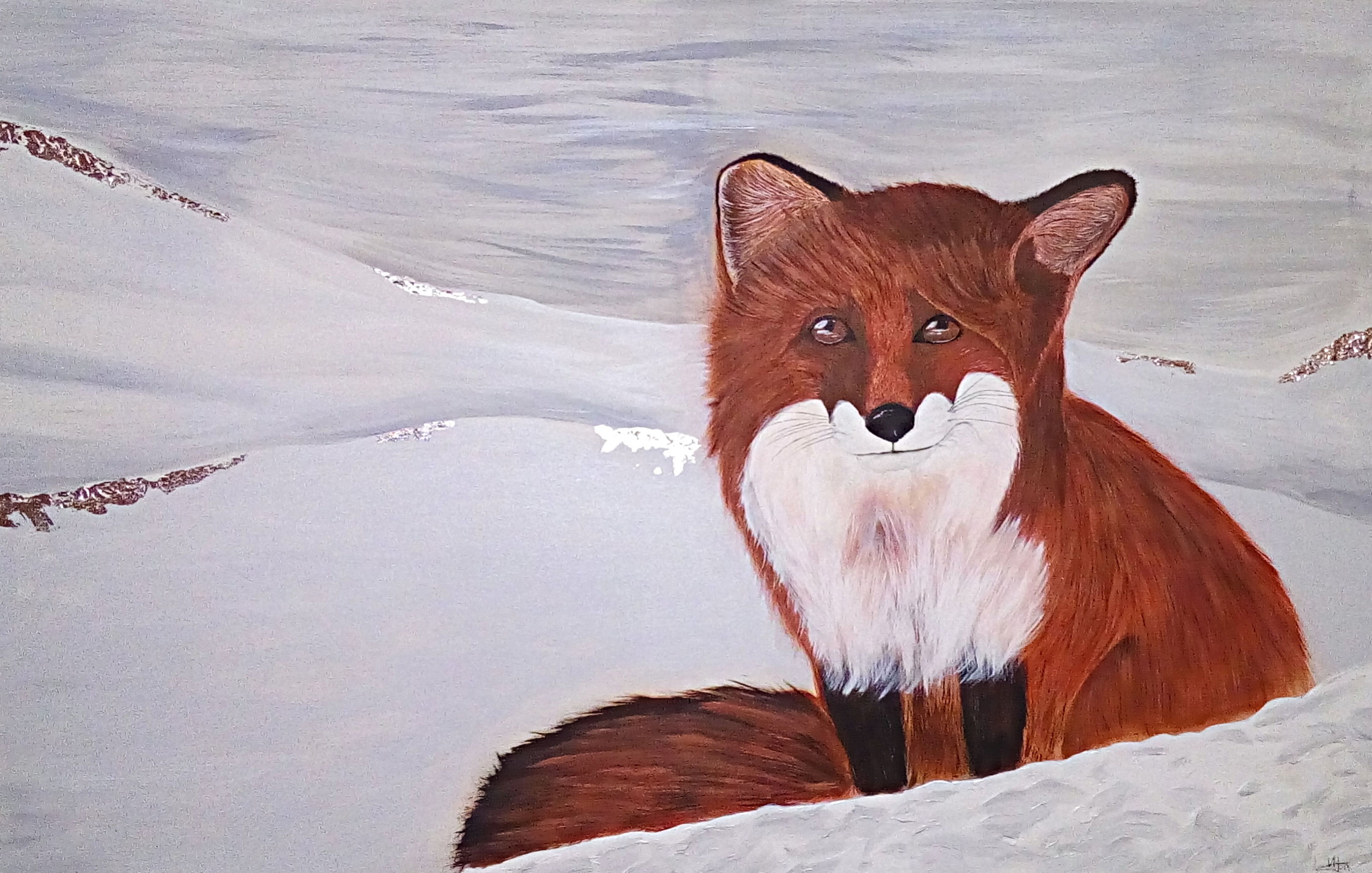 Tierportraits/-bilder Tierportraits Tierbilder Portraits Dein Tier