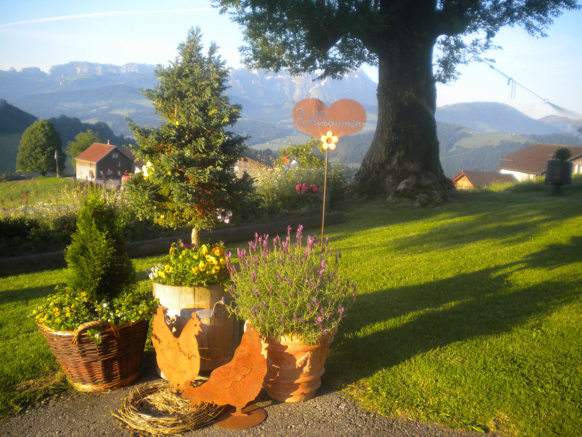 Bauernhof kennenlernen