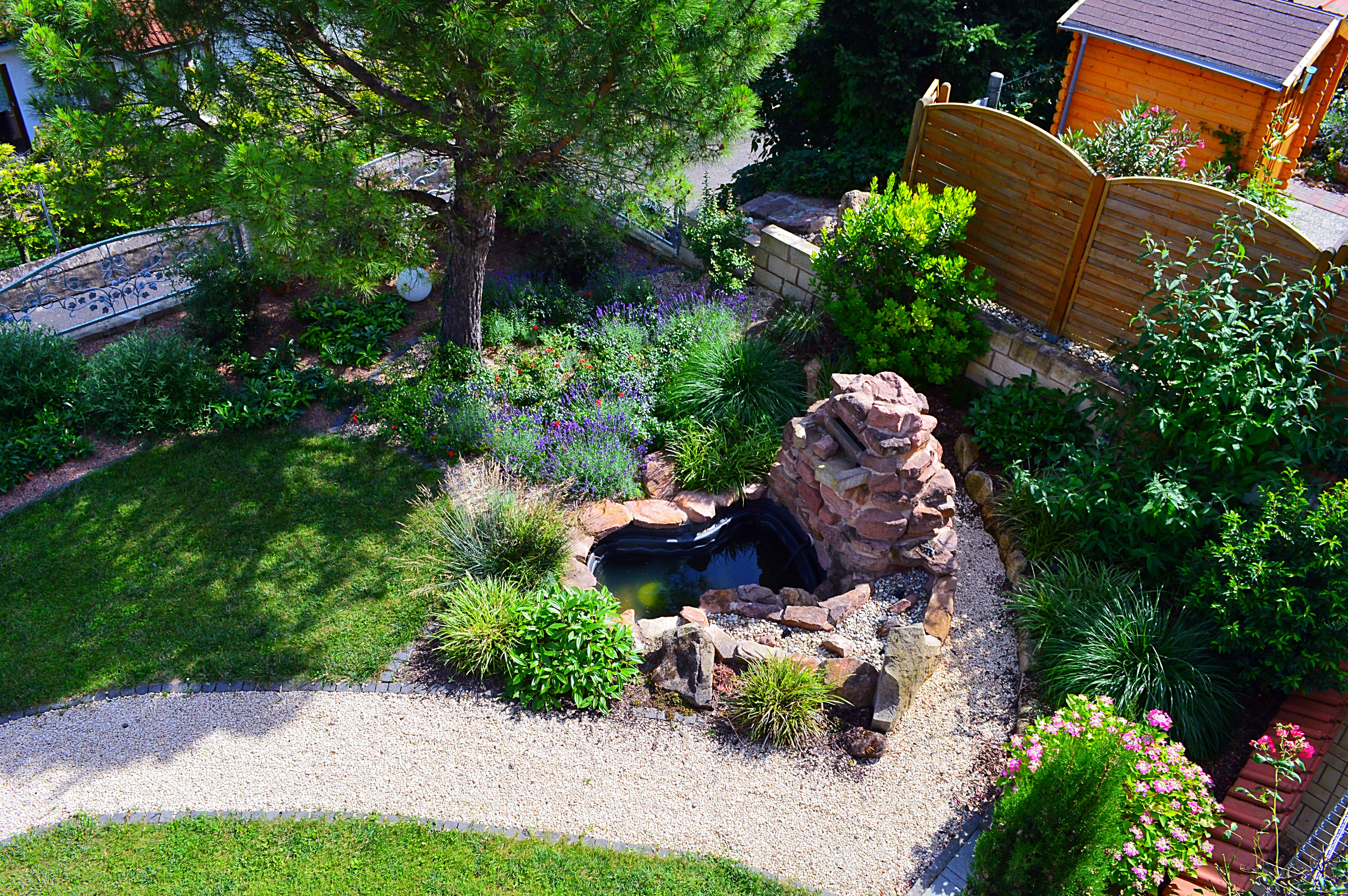 Mediterraner Garten - Weinhof Baum