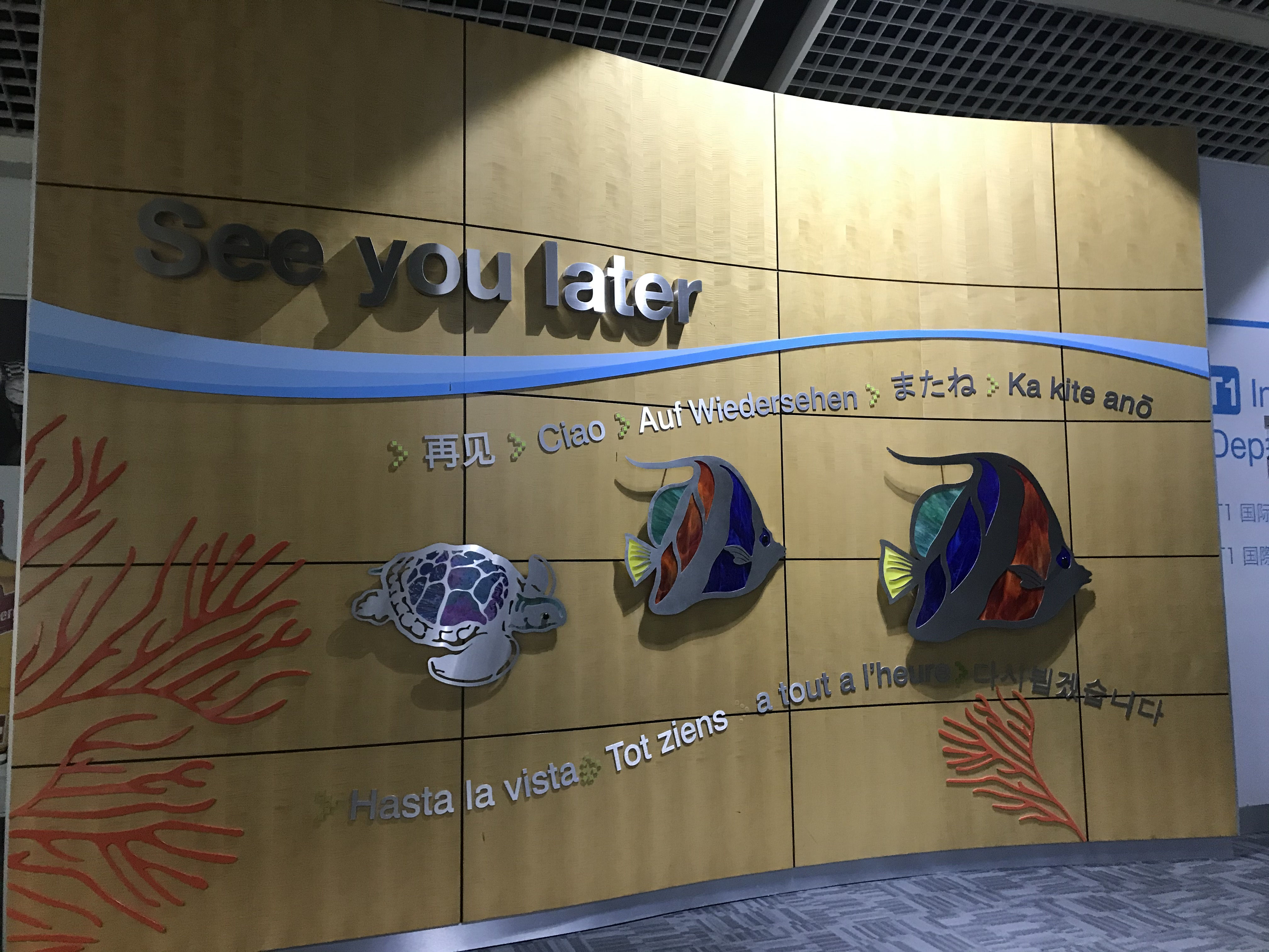 Tag 137 Flug nach BALI - wirsindmalrauss Webseite!