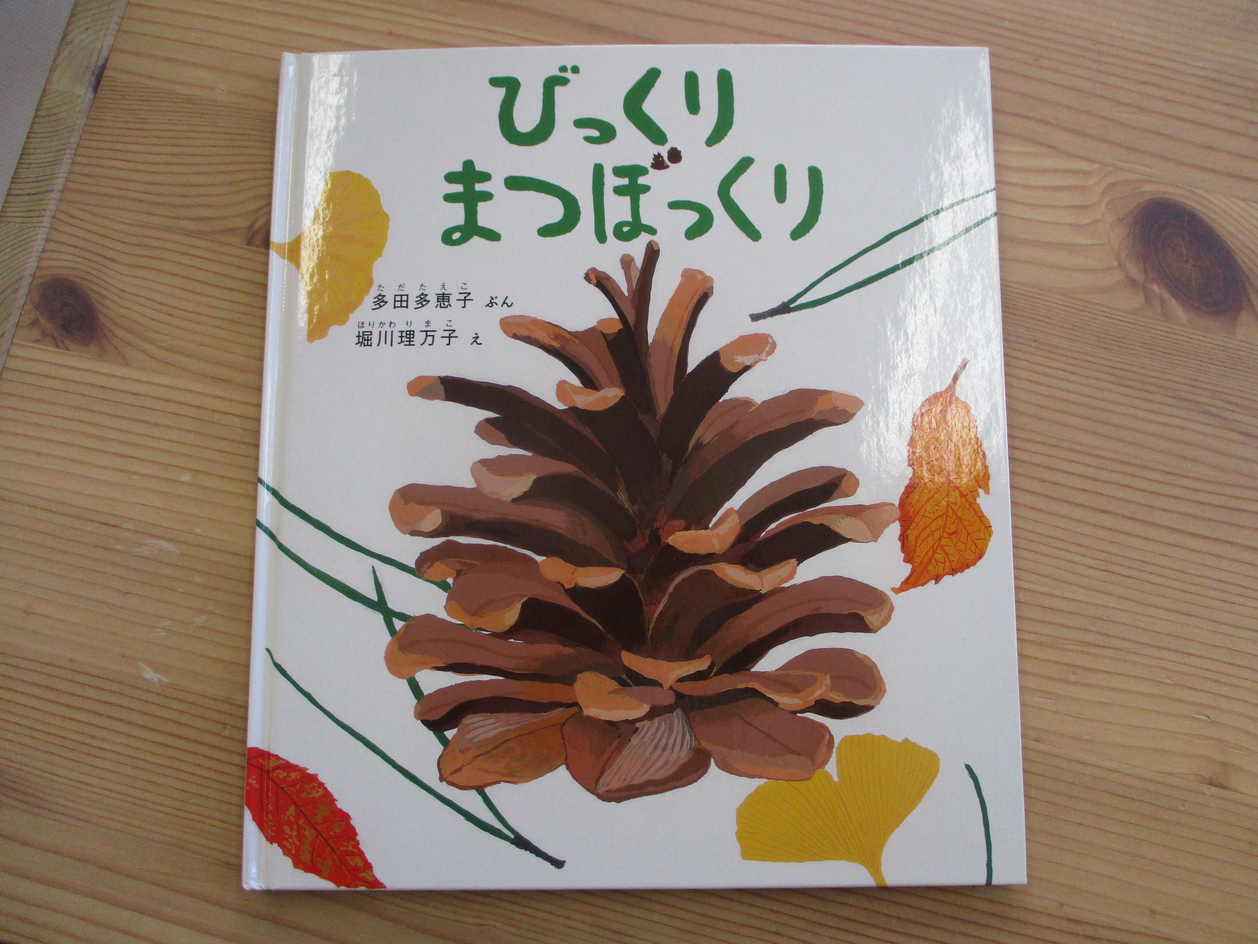 びっくりまつぼっくり！（にじ組） - センター北の保育園「みんなの