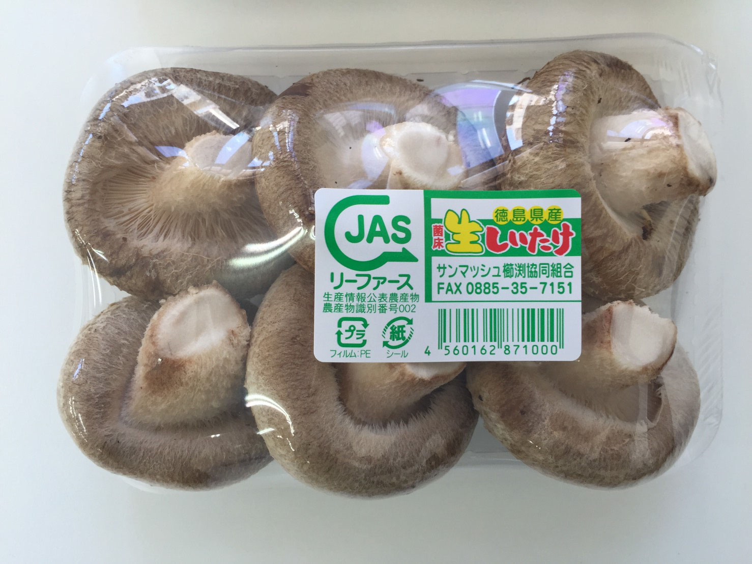 しいたけ 株式会社浜田農園 小松島市 生産 徳島 農業 櫛渕 浜田光且 就農 生産者 Hamadanouen ページ