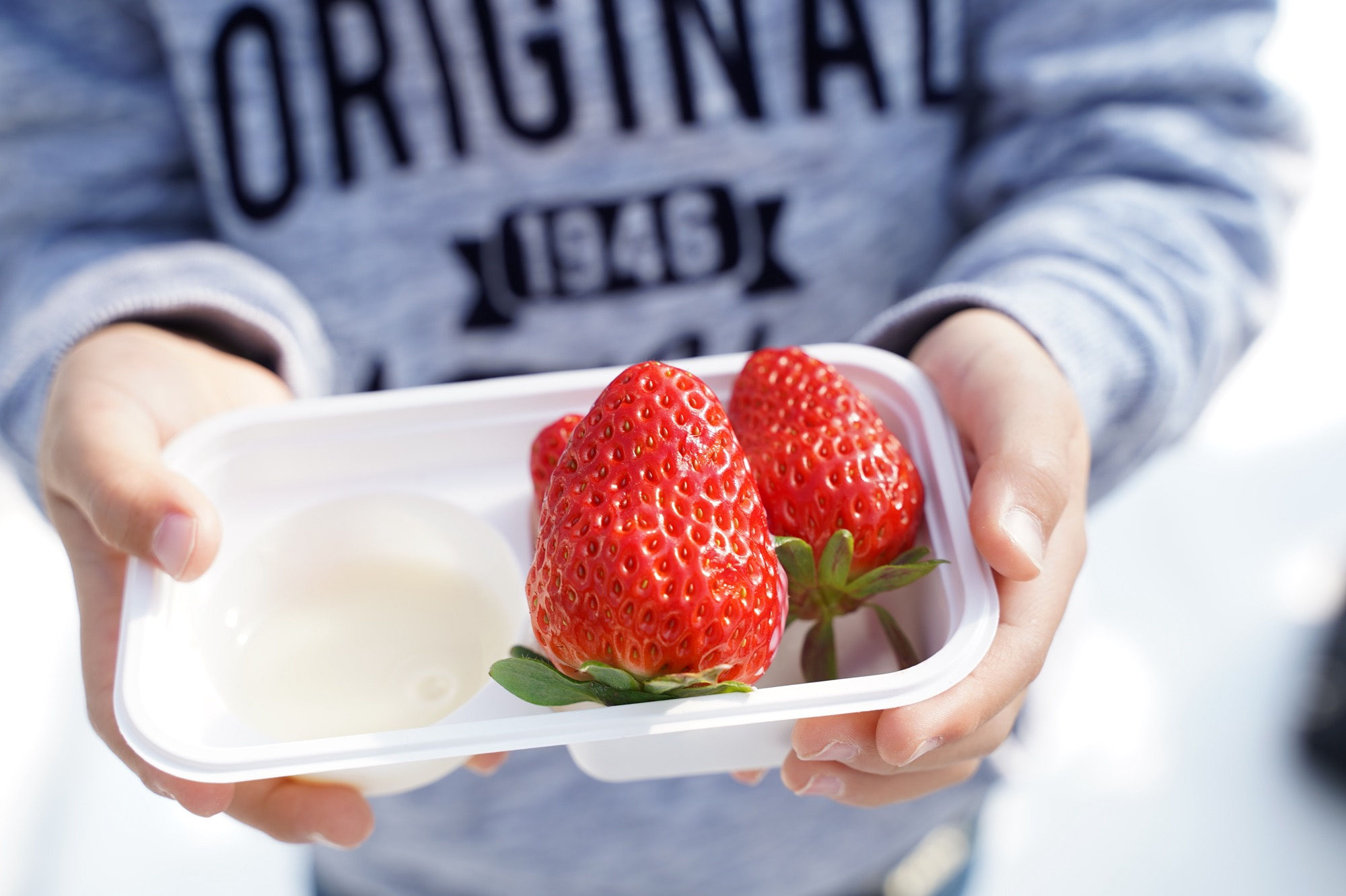 御殿場のイチゴ狩り・収穫体験 - アグリモンスタースペシャル