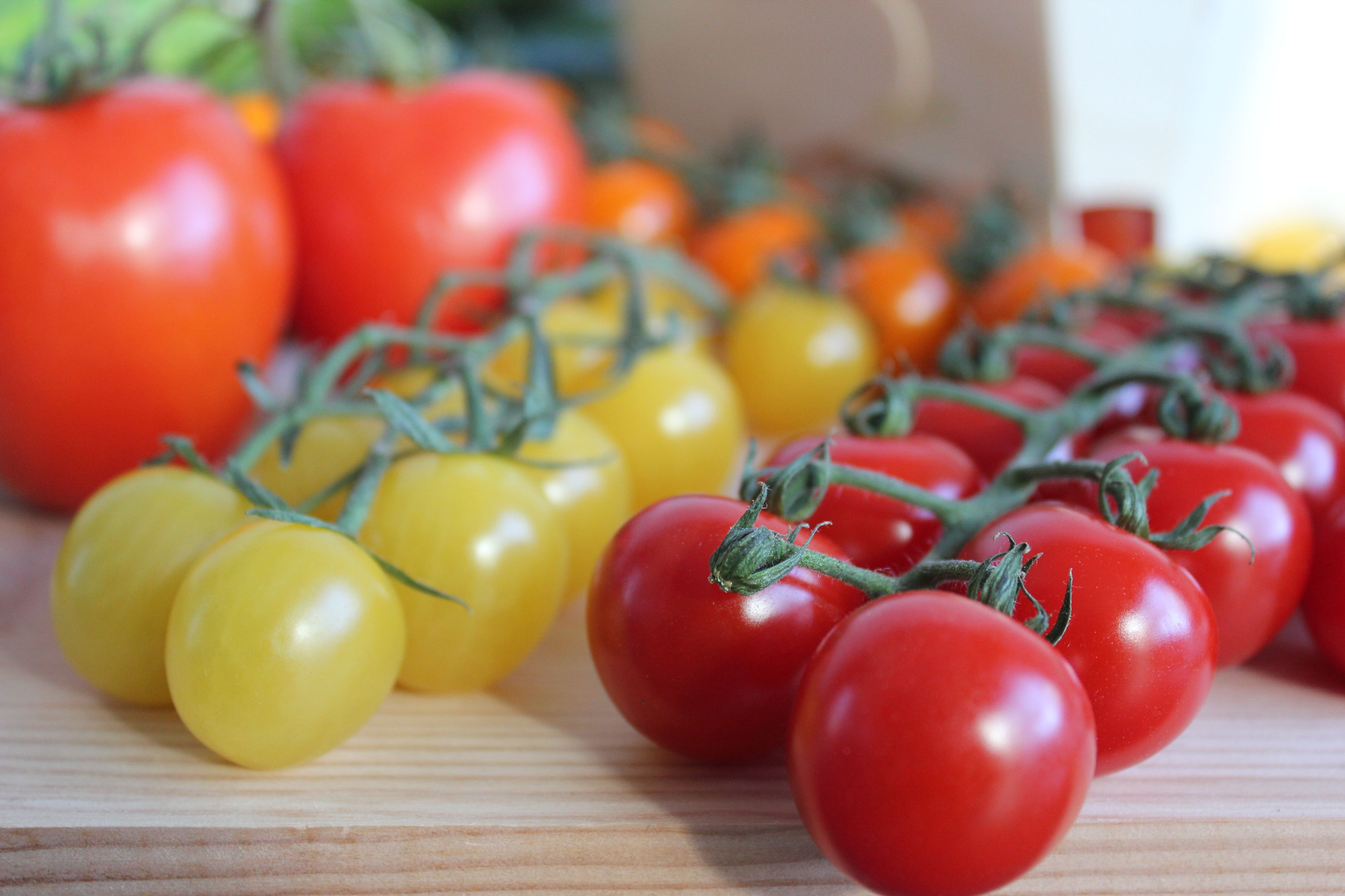 Tomaten hofreiter Beeren Selberpflücken München BeerenCafé Erlebnis