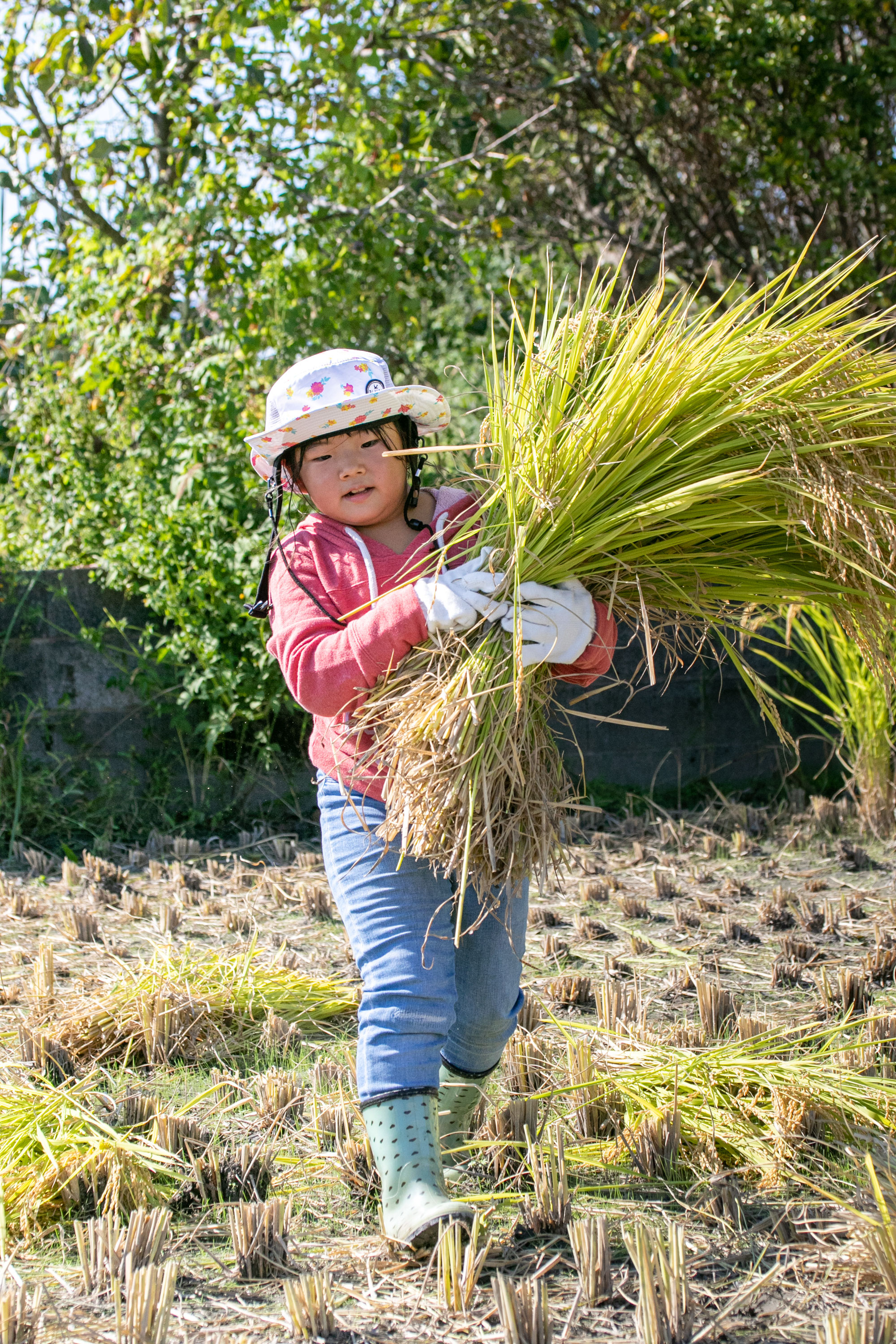 さいとう農園 さいとう農園へのレビュー・商品：群馬県｜食べチョク｜産地直送(産直