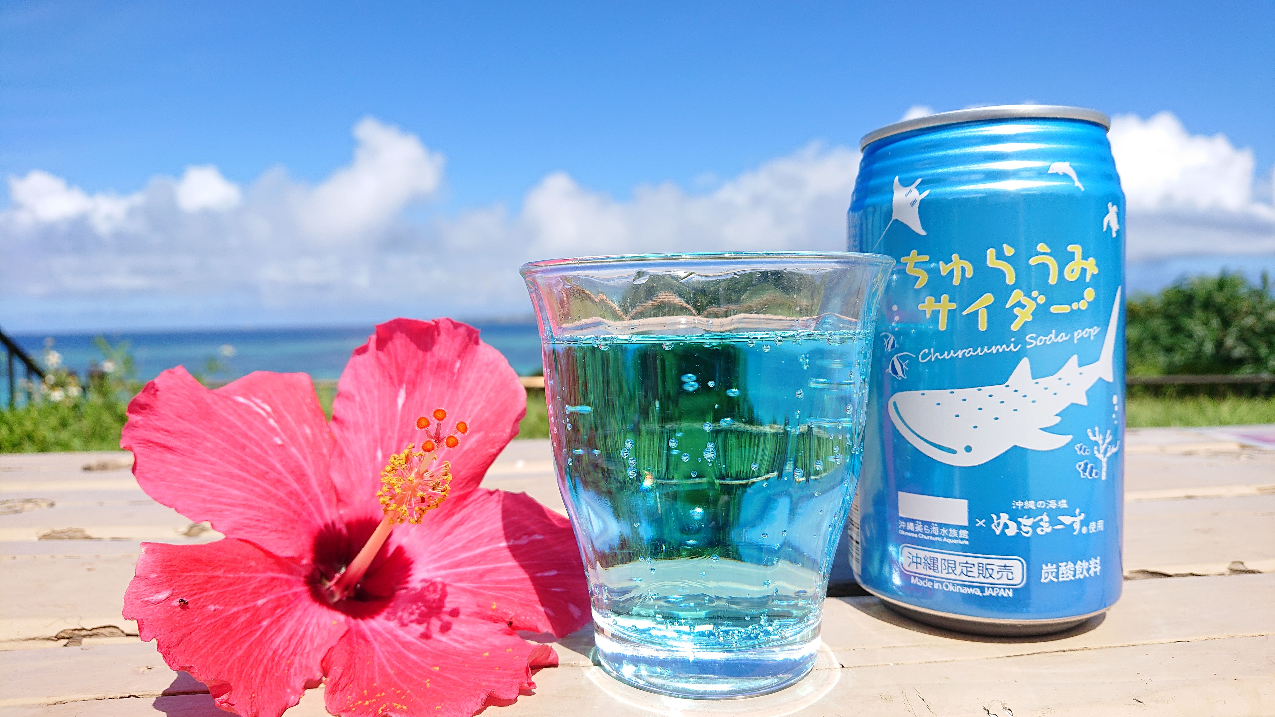 公式】 - 沖縄美ら海水族館アンテナショップうみちゅらら