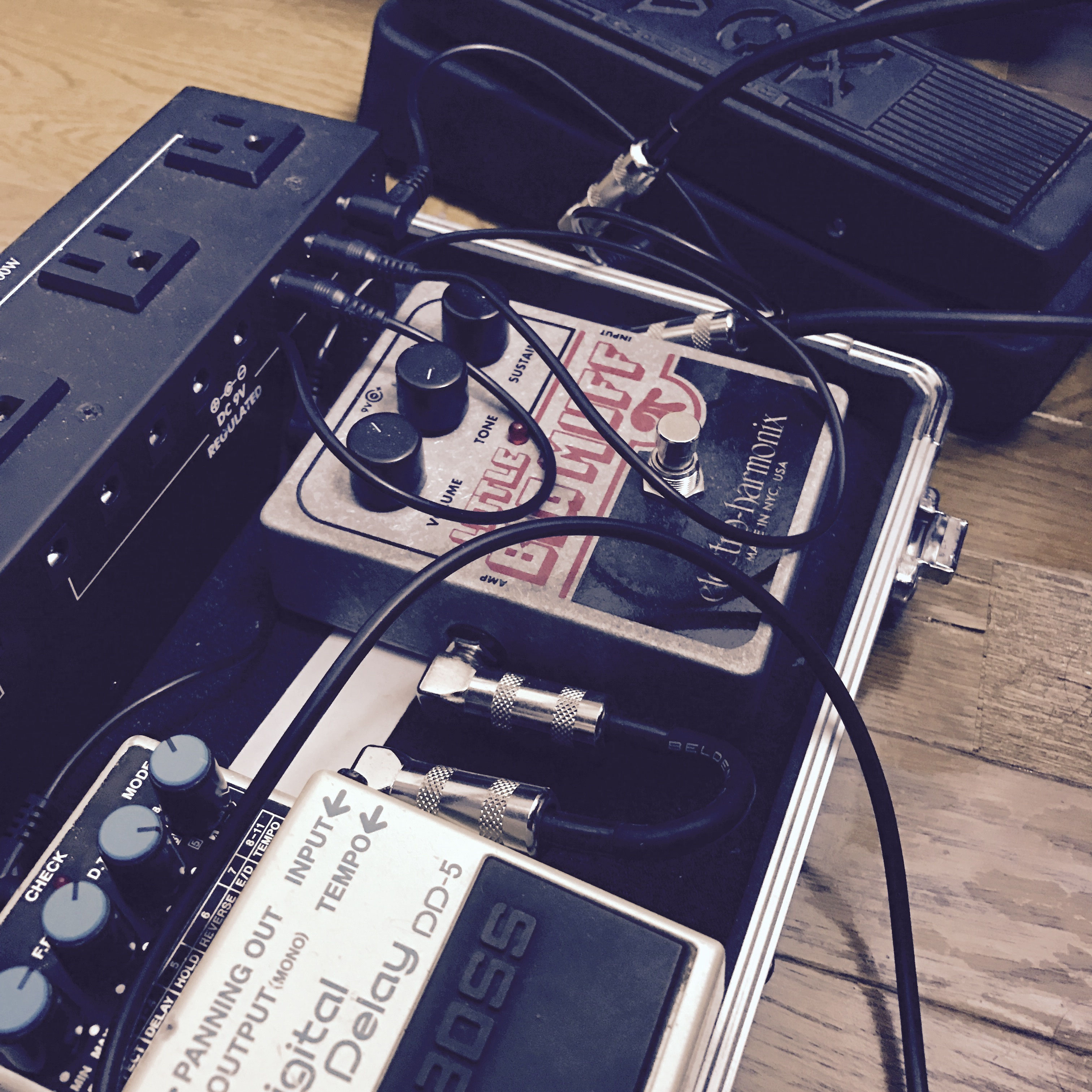 bio sapporo roar shoegazer