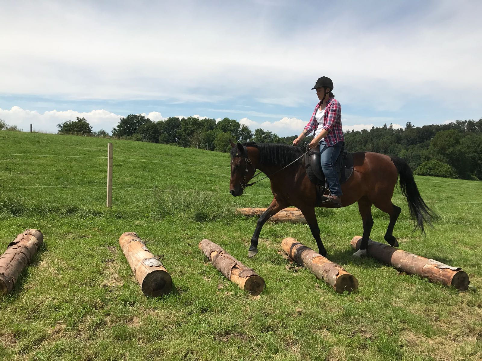 Unterricht per Video HorseBalance, Sonja Ruffieux