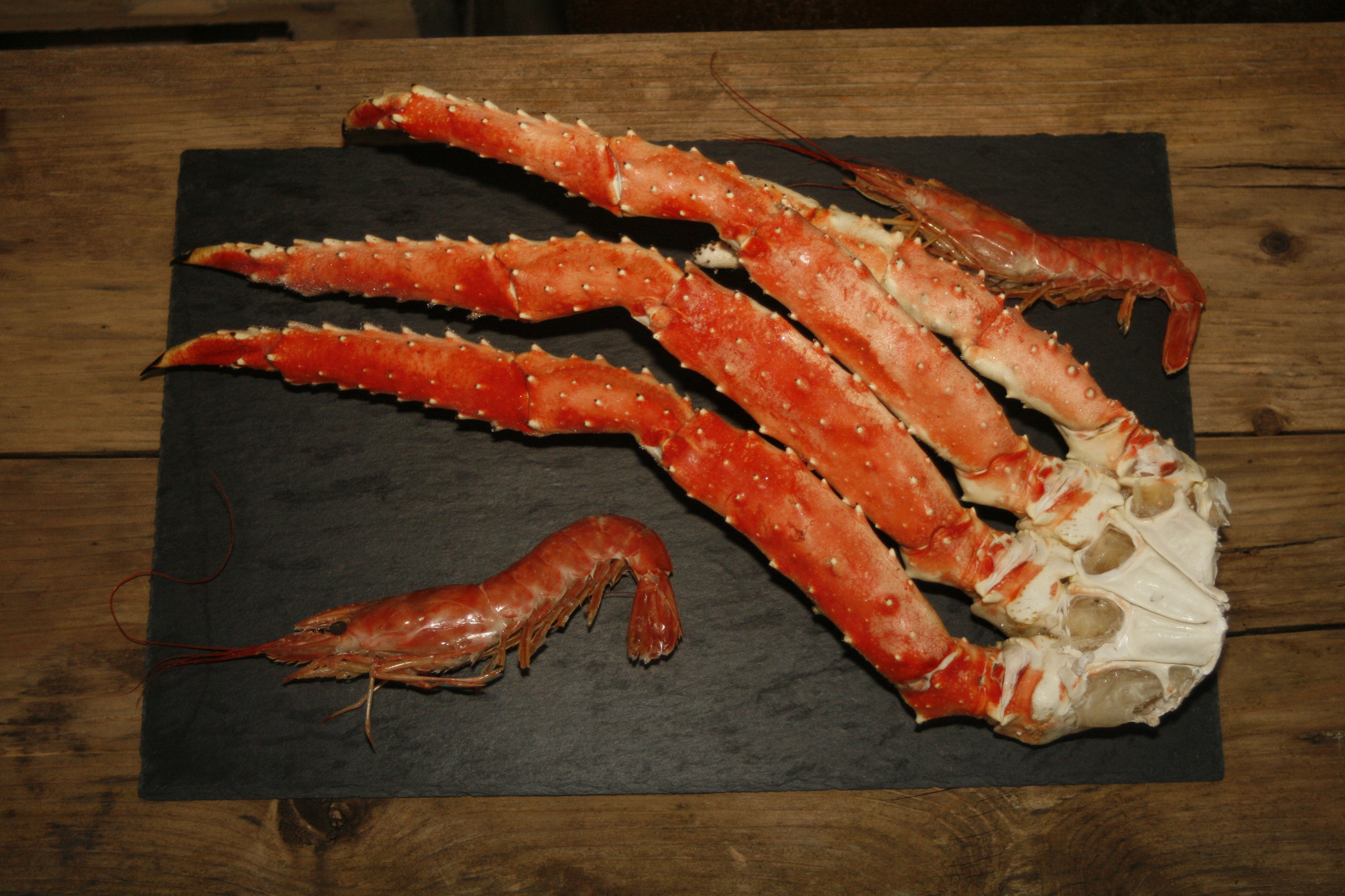 King Krab heinzelmannkrustentieres seite!