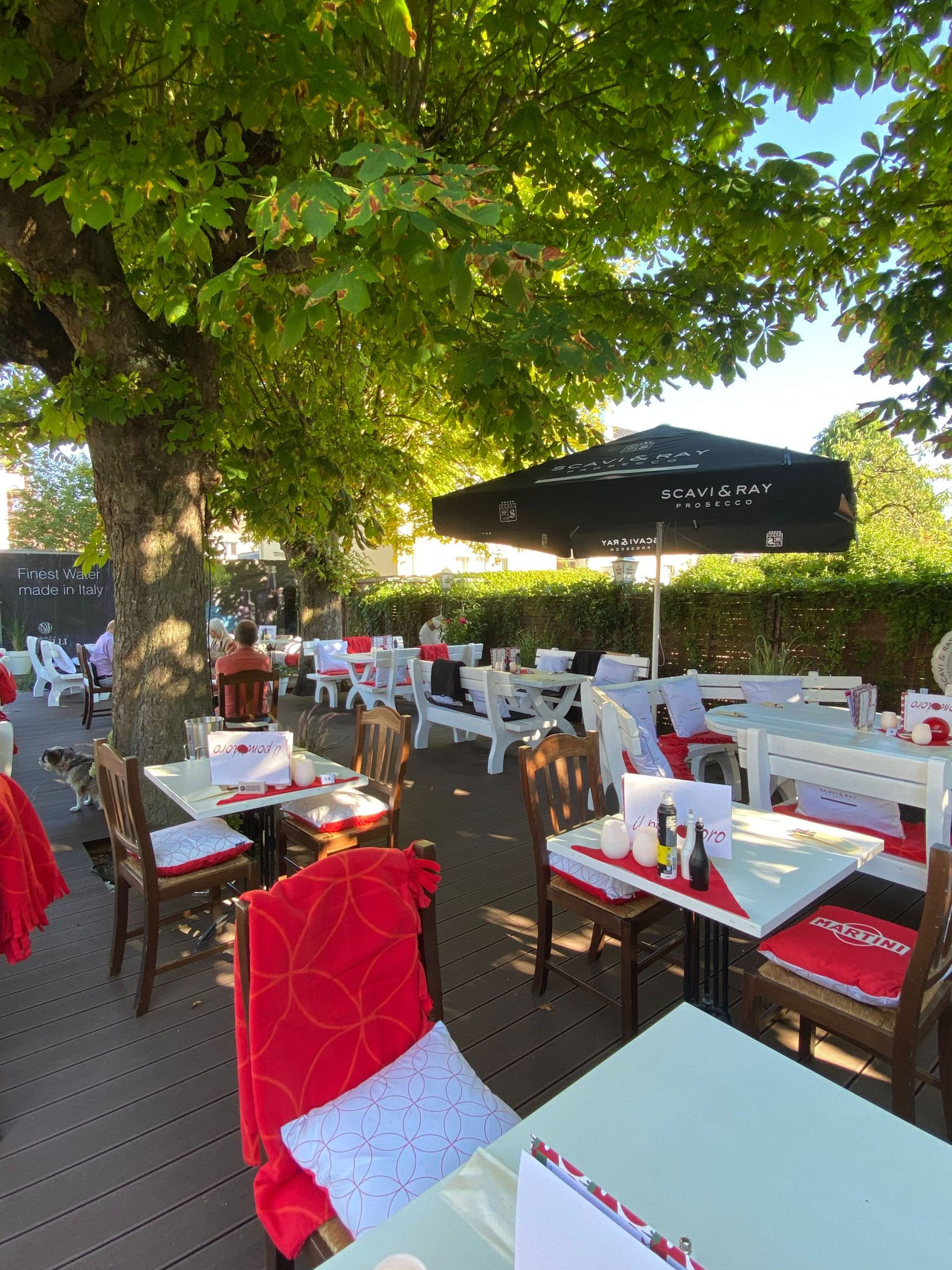 Il pomodoro Konstanz Il pomodoro Konstanz