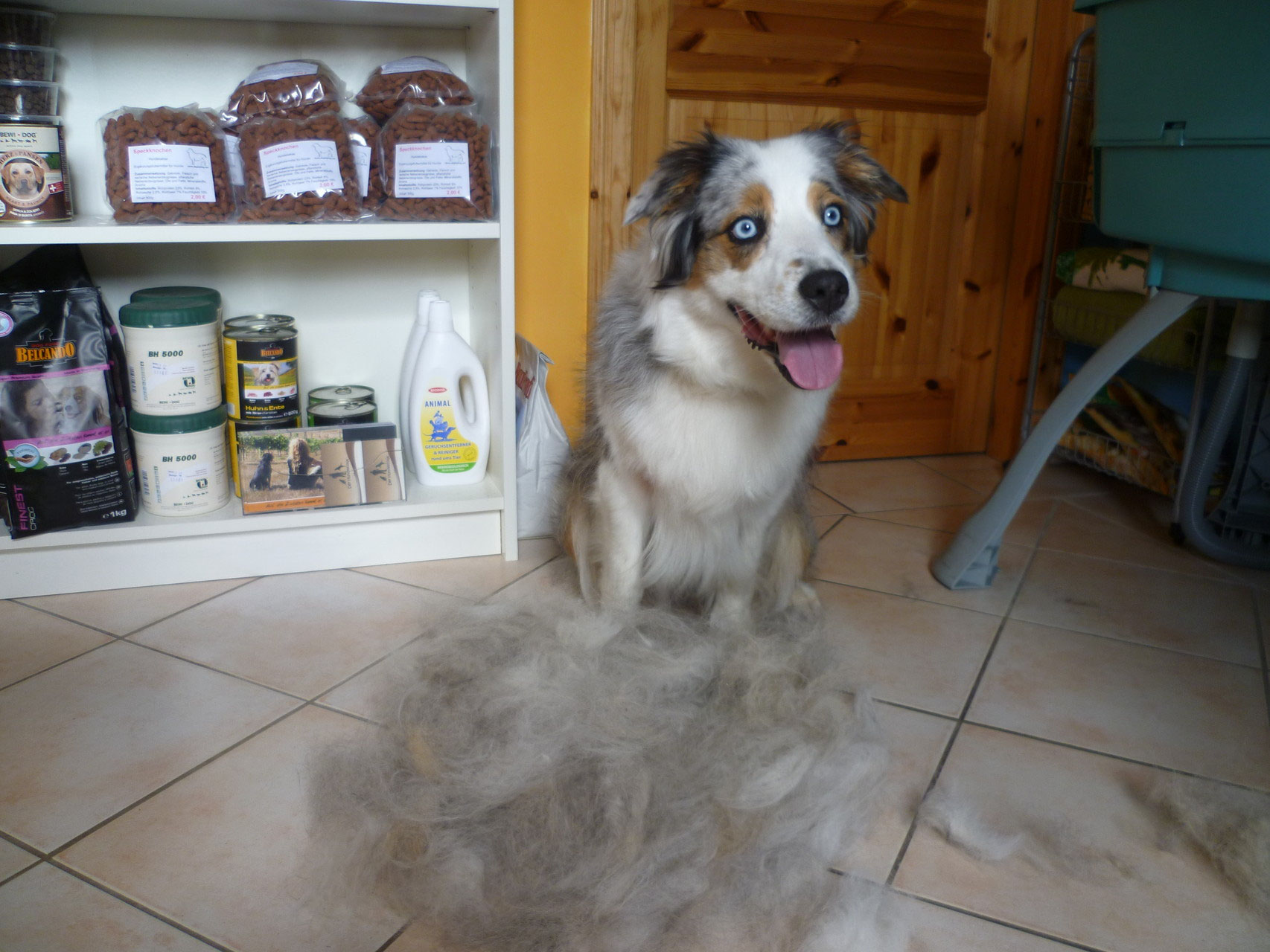 Carding dogstylings seite!