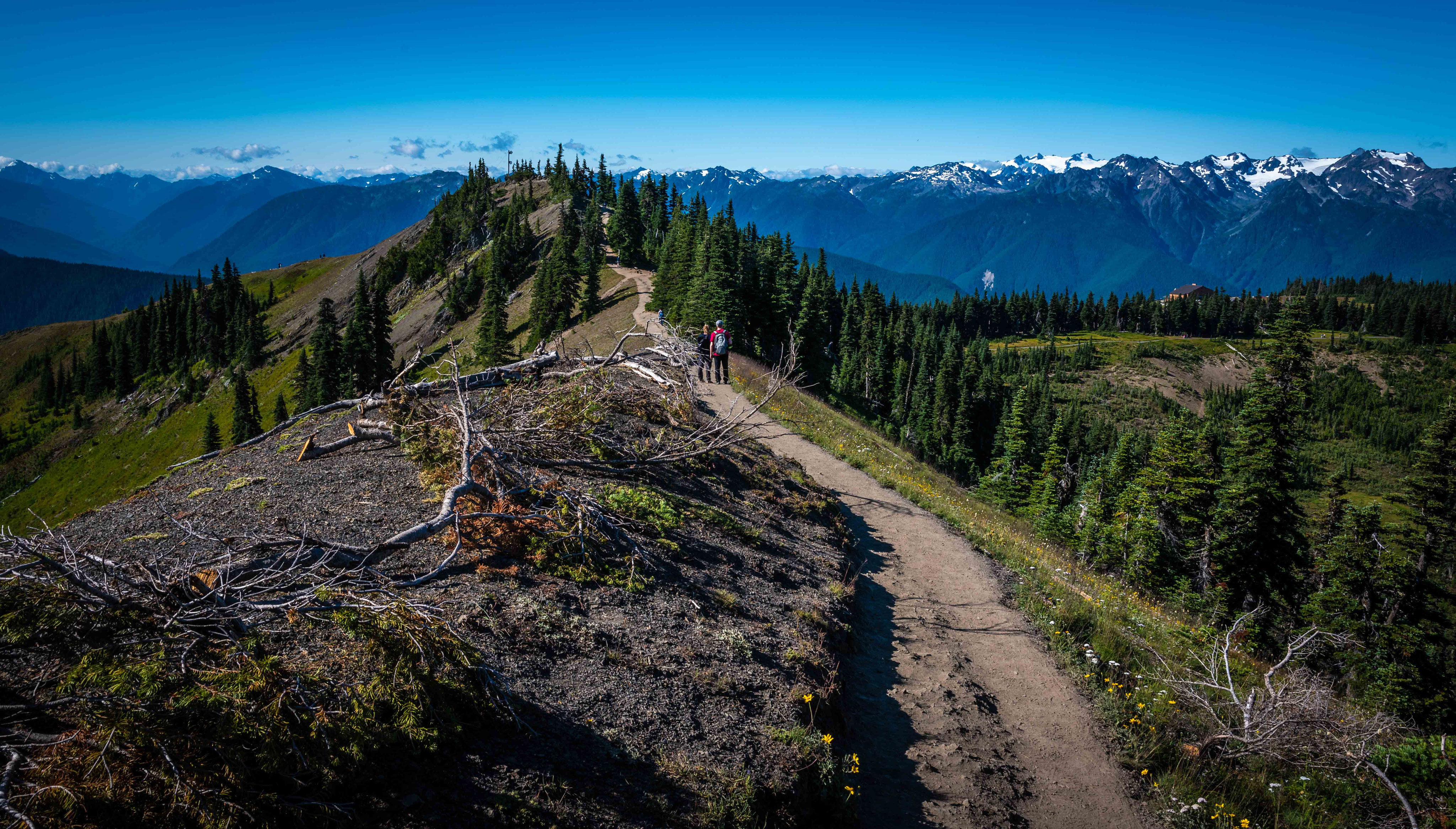 Olympic National Park lukasaroundtheglobes Webseite!