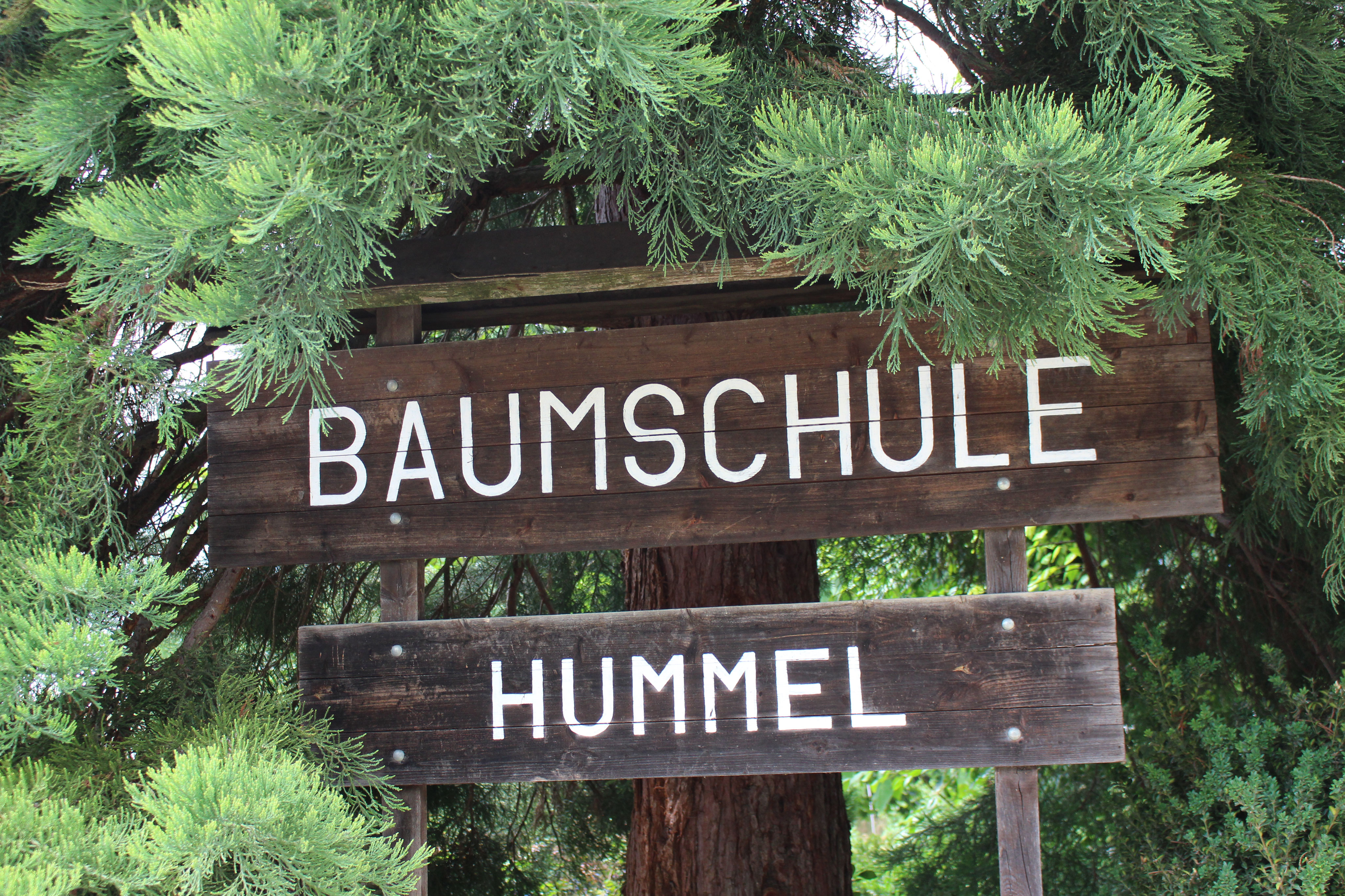 (c) Baumschule-hummel.com